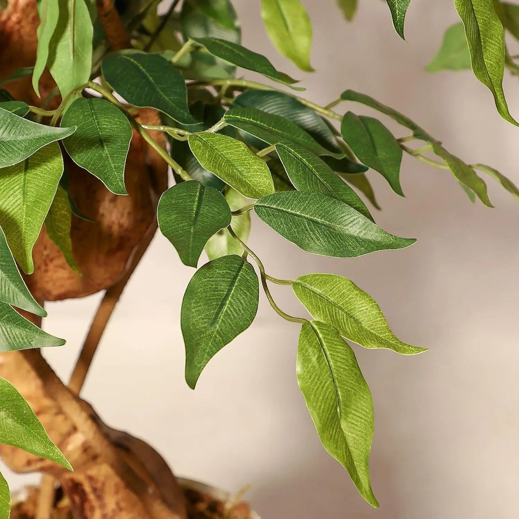 Ficus Luxueux | Plante Artificielle avec Tronc Incurvé & Jardinière Blanche | Décoration Intérieure Élégante pour un Ambiance Naturelle 5