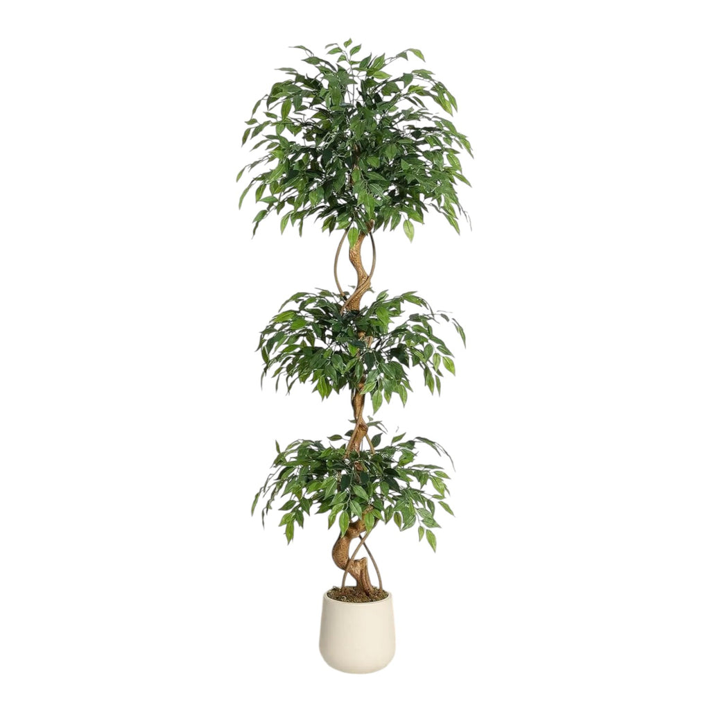 Ficus Luxueux | Plante Artificielle avec Tronc Incurvé & Jardinière Blanche | Décoration Intérieure Élégante pour un Ambiance Naturelle 6