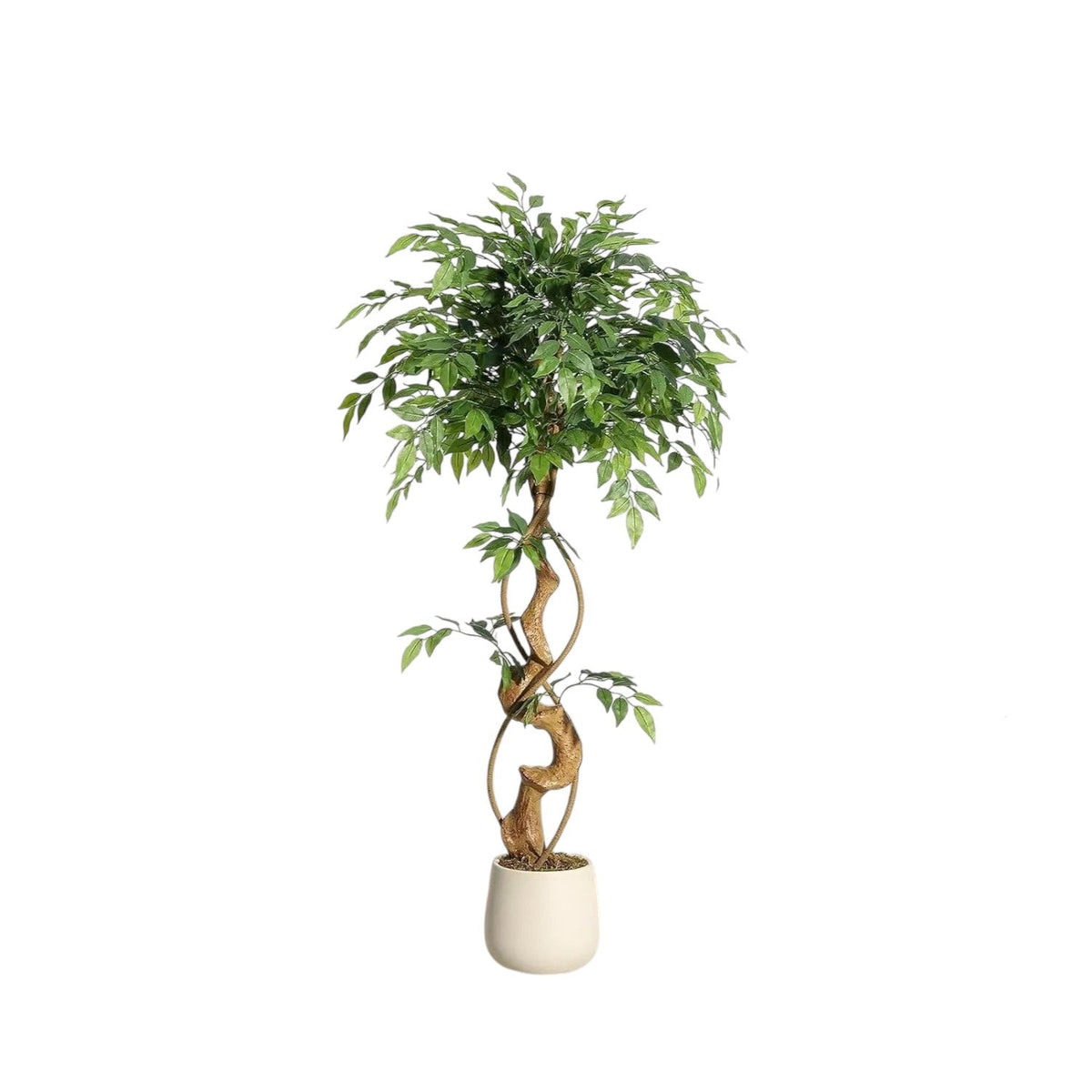 Ficus Luxueux | Plante Artificielle avec Tronc Incurvé & Jardinière Blanche | Décoration Intérieure Élégante pour un Ambiance Naturelle 7