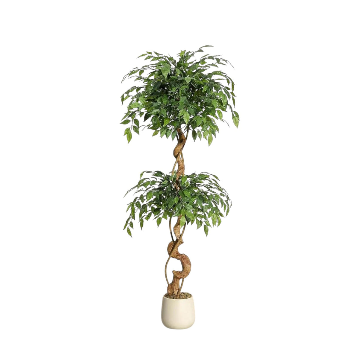 Ficus Luxueux | Plante Artificielle avec Tronc Incurvé & Jardinière Blanche | Décoration Intérieure Élégante pour un Ambiance Naturelle 8