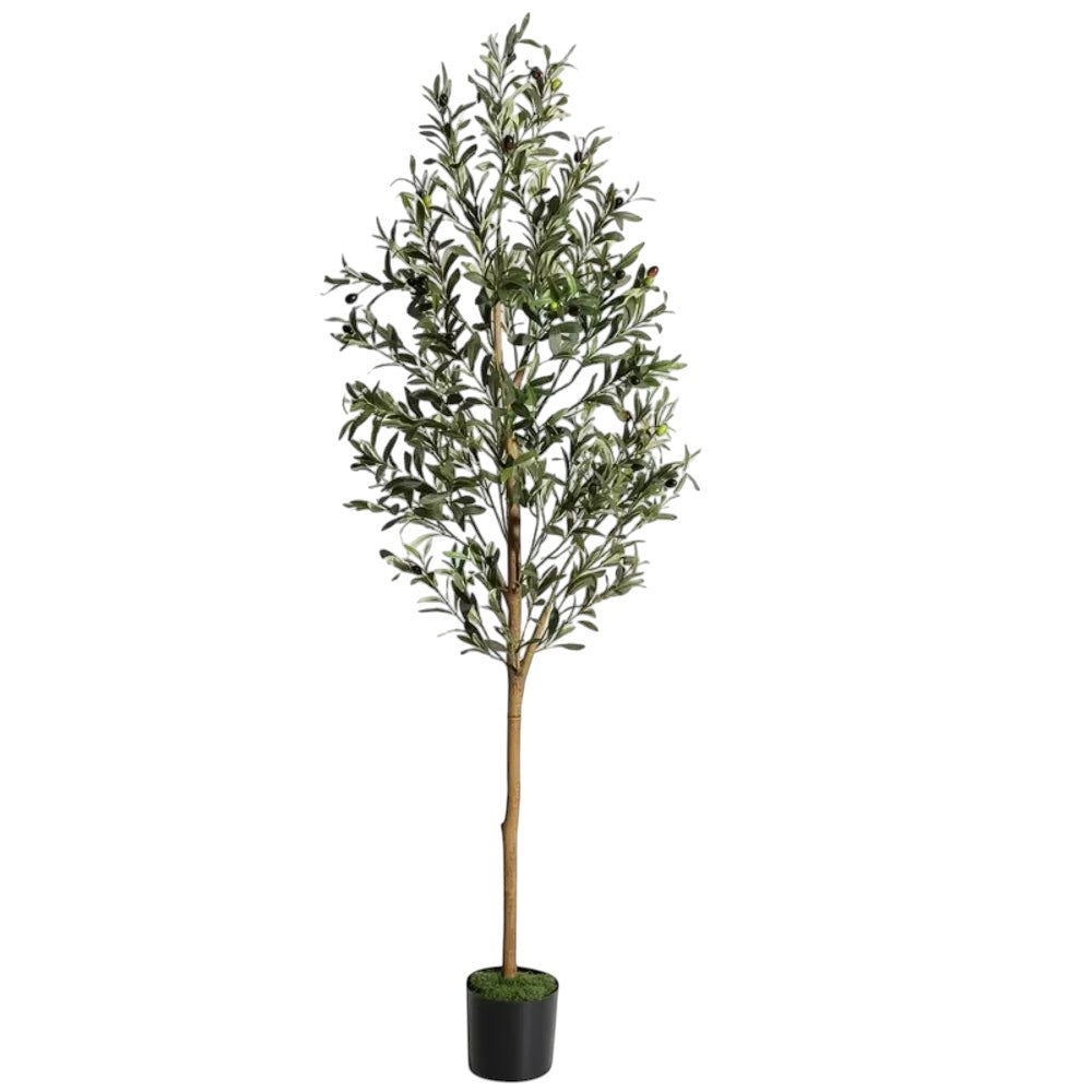 Olivier Artificiel | Plante Artificielle Intérieur avec Tronc en Bois Naturel | Ambiance Méditerranéenne pour Maison et Bureau 11