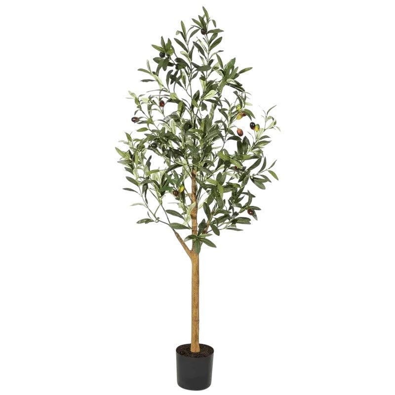 Olivier Artificiel | Plante Artificielle Intérieur avec Tronc en Bois Naturel | Ambiance Méditerranéenne pour Maison et Bureau 9