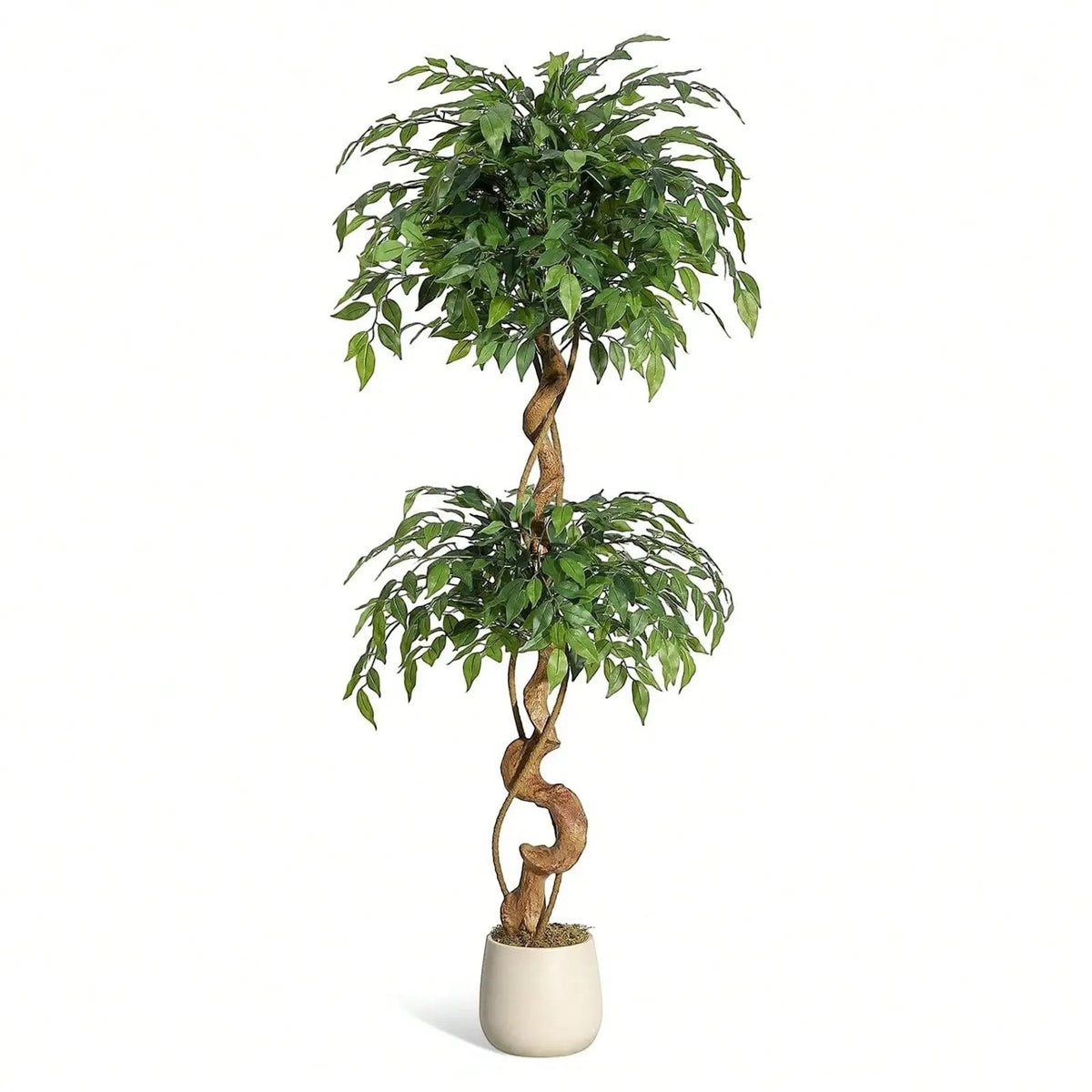 Ficus Luxueux | Plante Artificielle avec Tronc Incurvé & Jardinière Blanche | Décoration Intérieure Élégante pour un Ambiance Naturelle