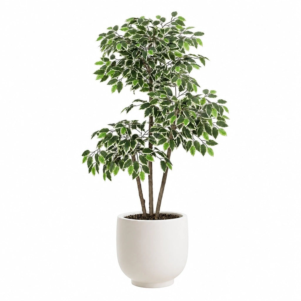 Arbre artificiel Ficus Klorys de 150 cm avec feuillage vert et blanc dans un pot blanc moderne pour décoration