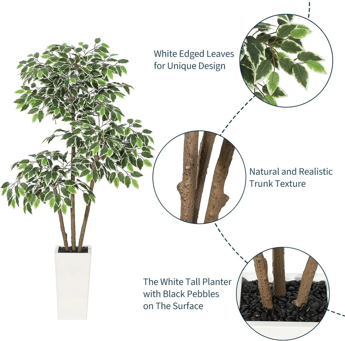 Arbre artificiel Ficus Klorys 150cm avec feuilles vertes à bords blancs, tronc réaliste et pot blanc moderne.