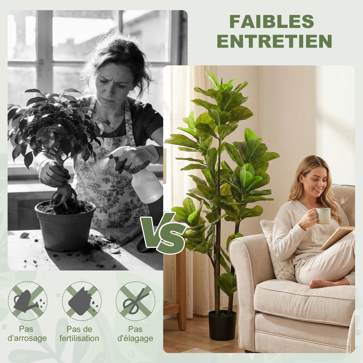 Comparaison Klorys entre entretien de plante naturelle et ficus artificiel réaliste dans un salon moderne