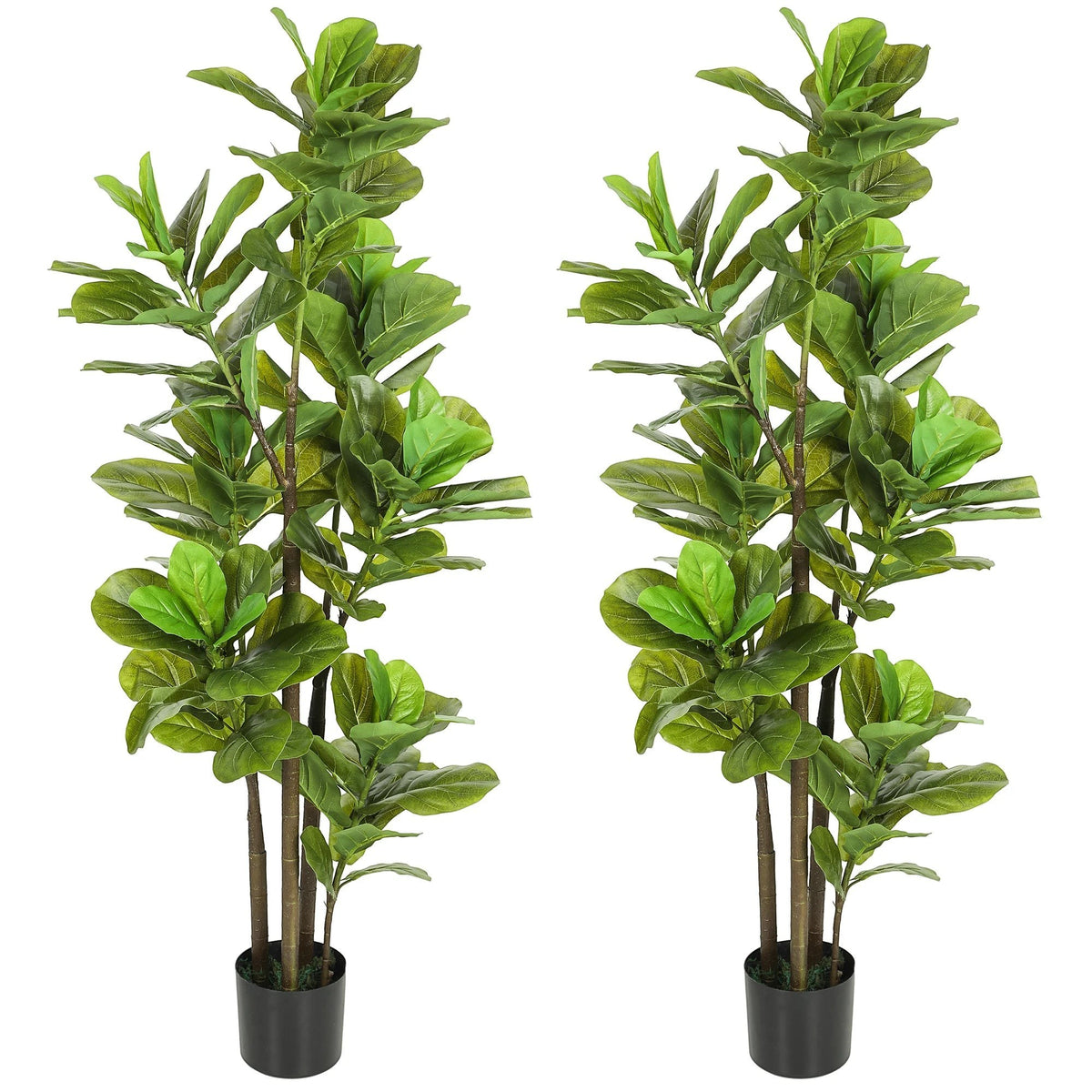 Lot de 2 plantes artificielles Ficus Klorys avec feuilles vertes réalistes dans des pots en ciment noir