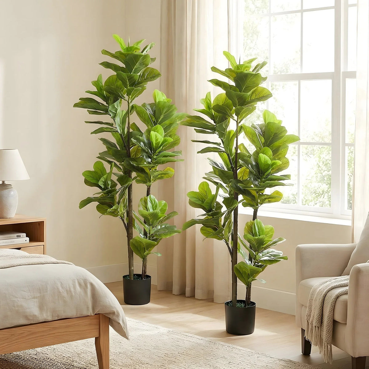 Lot de 2 plantes artificielles Ficus Klorys avec feuilles vertes réalistes dans des pots en ciment noir pour intérieur