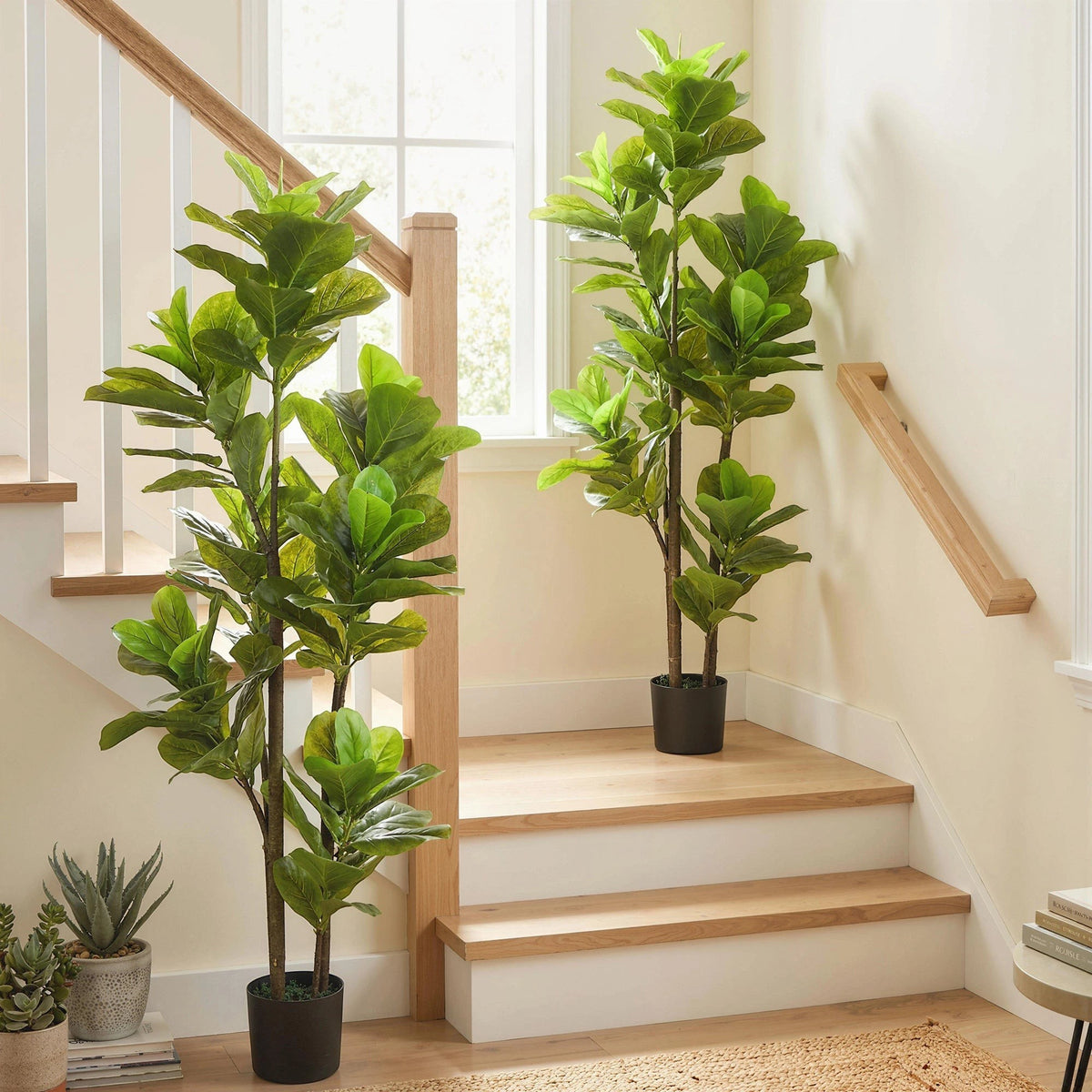 Lot de 2 plantes artificielles Ficus Klorys avec feuilles vertes réalistes dans des pots en ciment noir sur un escalier
